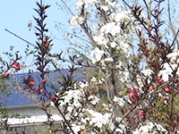 ̫�O�²����O(sh��)�乫˾���쾰ɫ