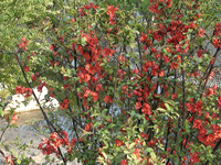 ̫�O�²����O(sh��)�乫˾���쾰ɫ