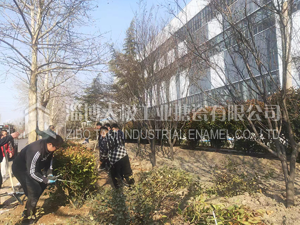 太極辦公后勤人員齊上陣植樹(shù)